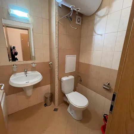 Royal Sun - Premium *